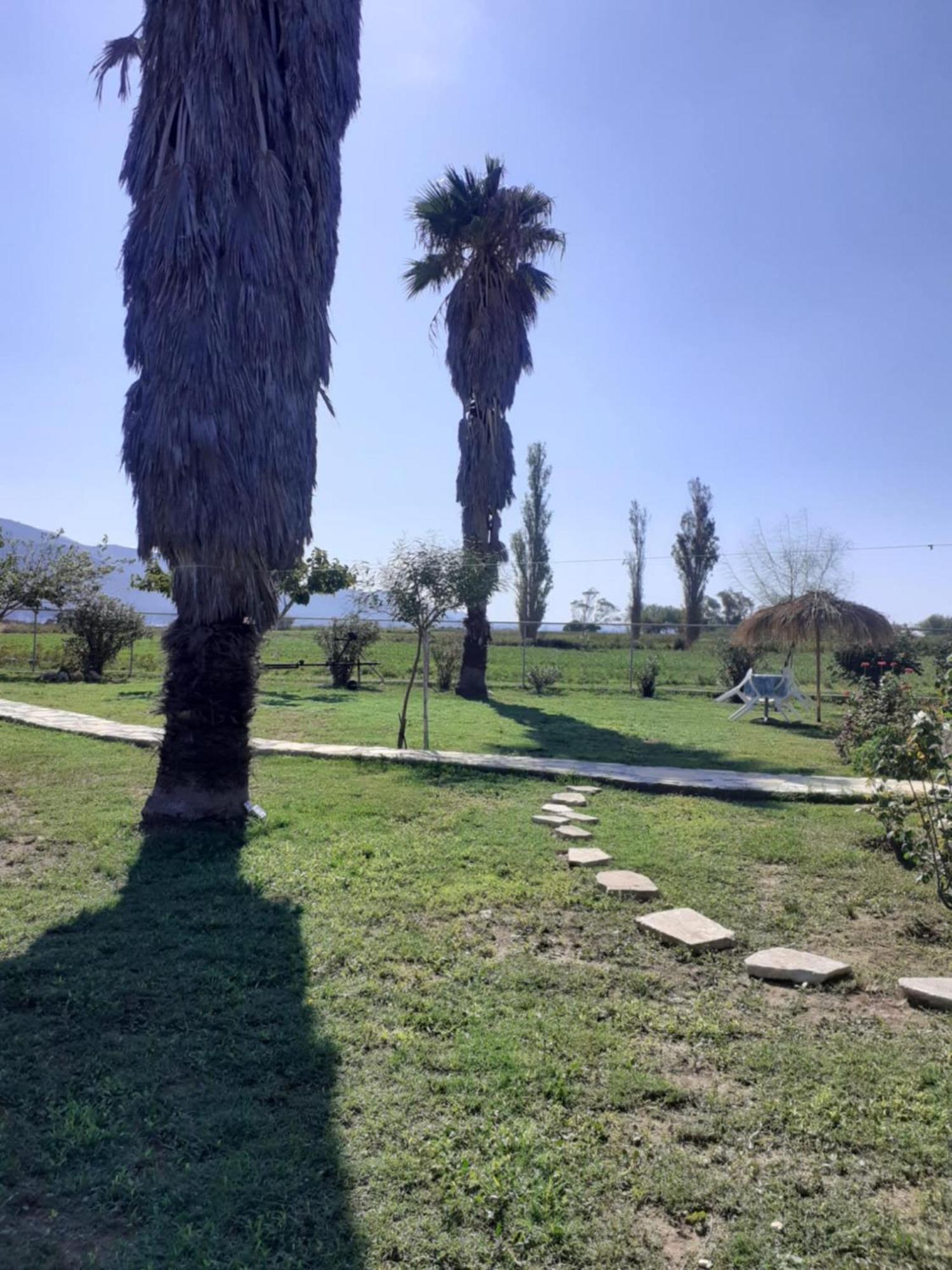Villa Virginia Lixouri Buitenkant foto